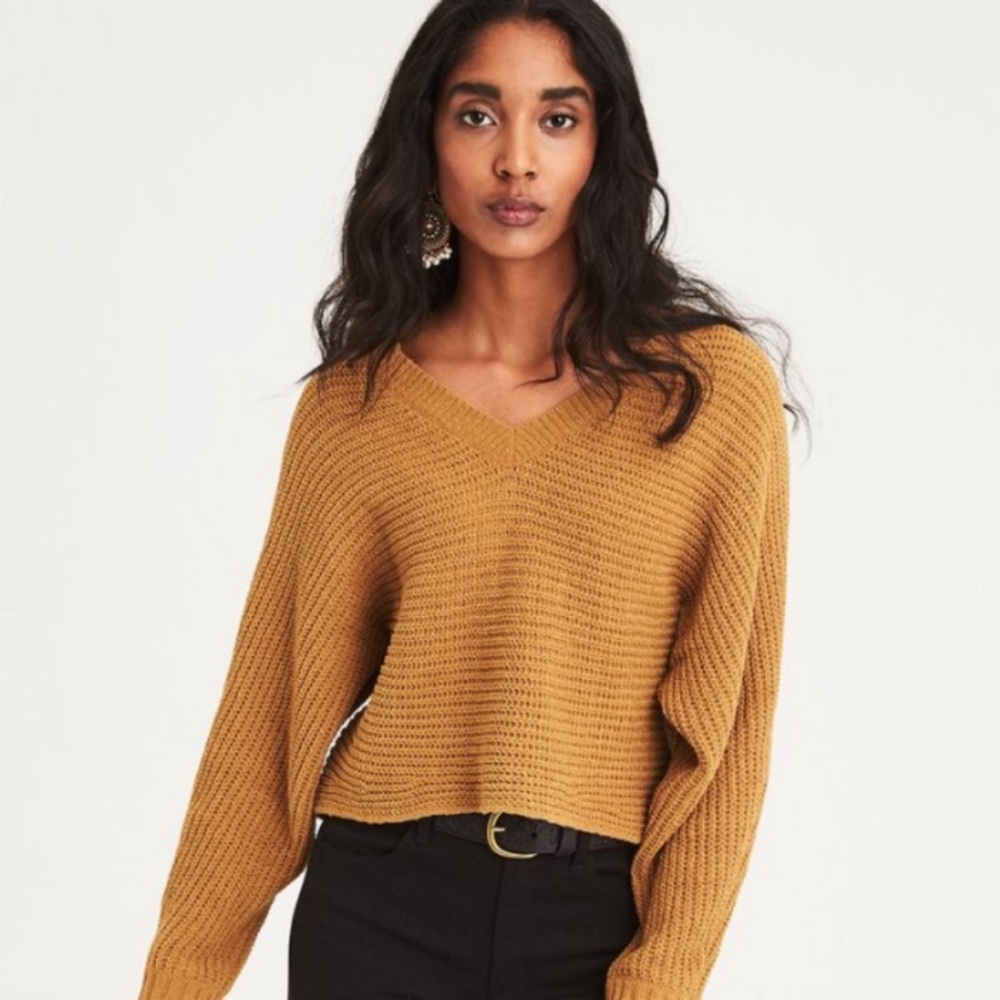 American eagle cropped v neck sweater